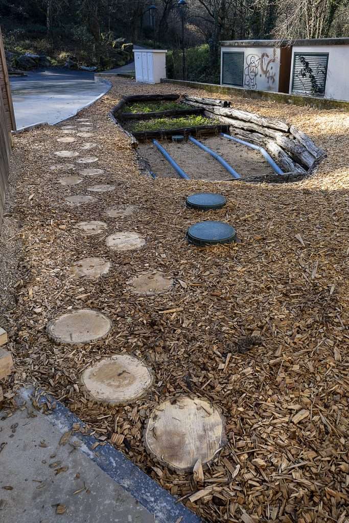 Natur Eskola, saneamineto de aguas con paja verde, técnica de fitodepuración